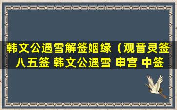 韩文公遇雪解签姻缘（观音灵签 八五签 韩文公遇雪 申宫 中签）